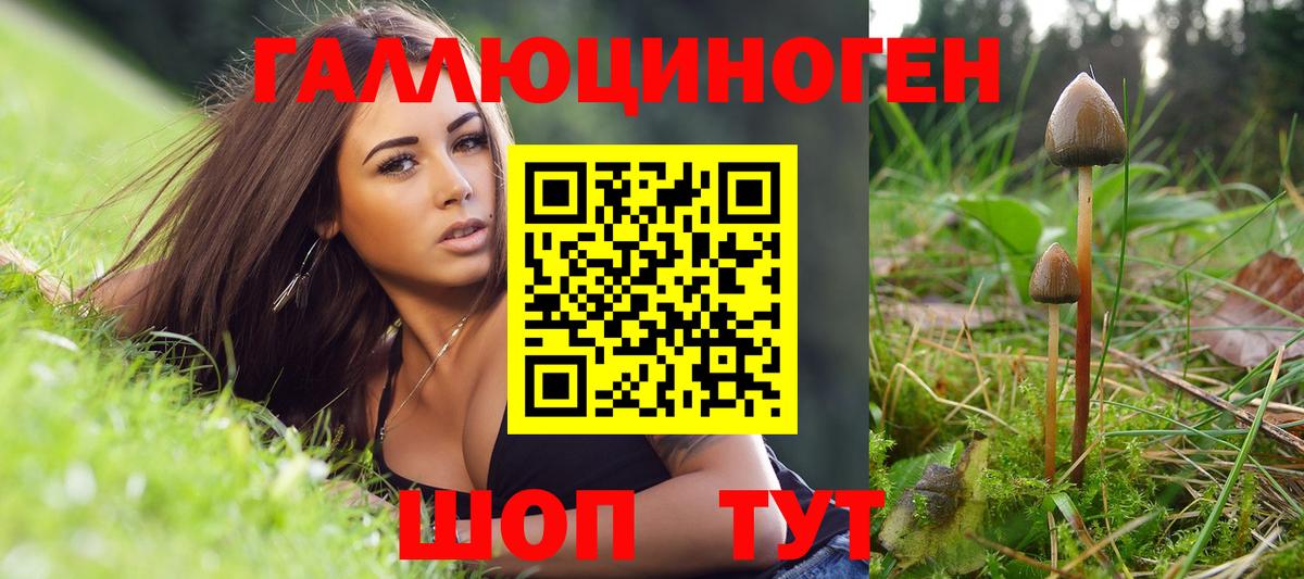 Галлюциногенные грибы прущие грибы Одинцово